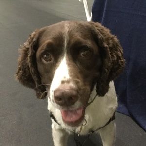 Meet your Posher, Liam